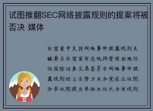 试图推翻SEC网络披露规则的提案将被否决 媒体