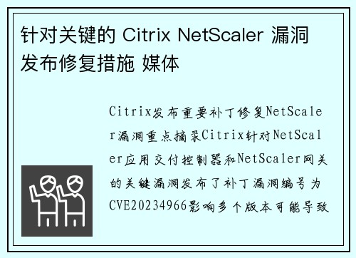 针对关键的 Citrix NetScaler 漏洞发布修复措施 媒体